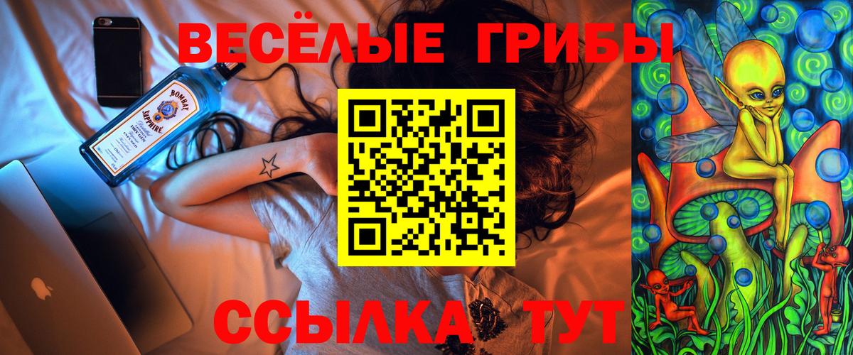 Псилоцибиновые грибы Psilocybe  Галлюциногенные грибы мицелий  Старая Купавна  Вход с VPN 